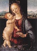 LORENZO DI CREDI, Madonna and Child with a Pomegranate